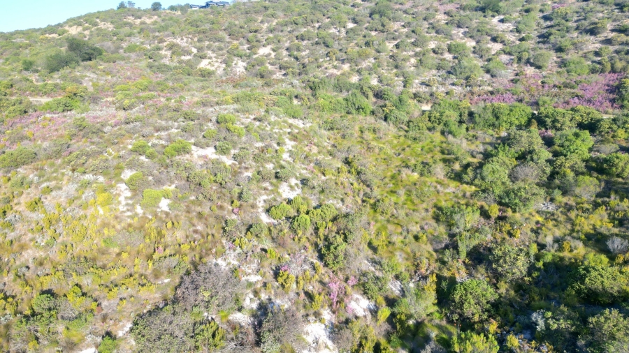 0 Bedroom Property for Sale in Pezula Private Estate Western Cape